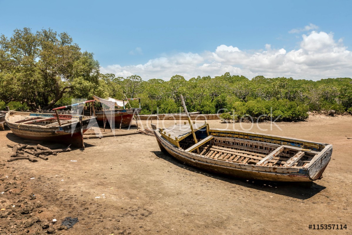 Afbeeldingen van Traditional boats in Lamu Island Kenya